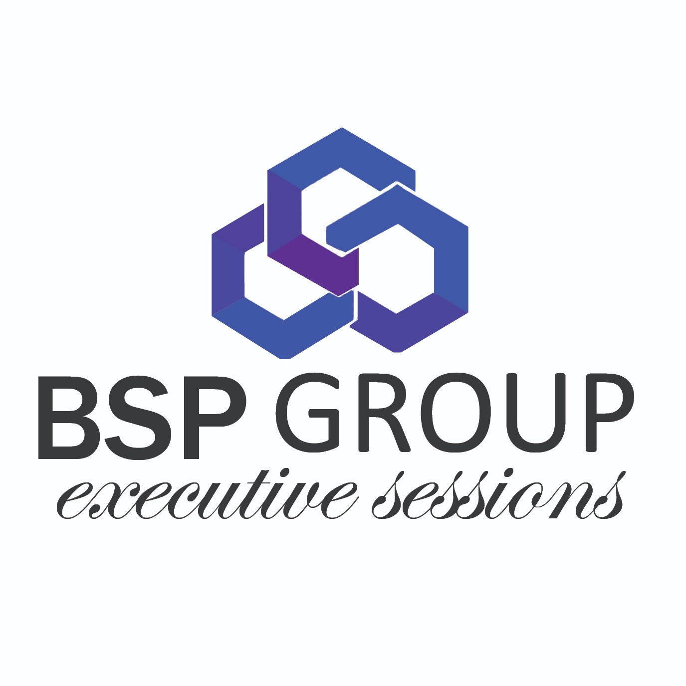 BSP GROUP
